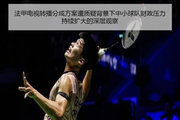 法甲电视转播分成方案遭质疑背景下中小球队财政压力持续扩大的深层观察
